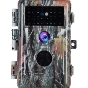 BlazeVideo Full HD 16MP